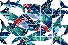 Abstract Shark Tessellation