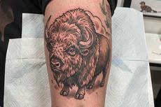 Bison Tattoo