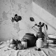 Black White Still Life