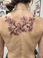 Cherry Blossom Tattoo On The Back