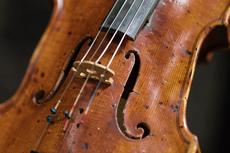 Close Up Of A Violin