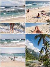 Collage Of Beaches