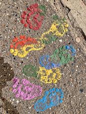 Colorful Footprints