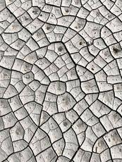 Crack Pattern