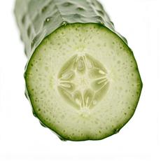 Cross Section Of A Cucumber
