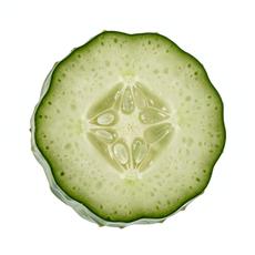 Cucumber Cross Section