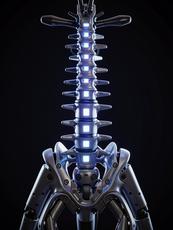 Cybernetic Spine Illuminated