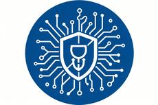 Cybersecurity Icon