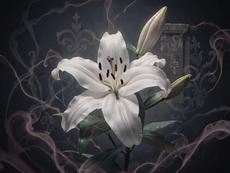 Ethereal Gothic Lily