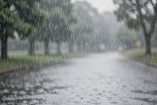 Gentle Rain