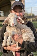 Holding A Lamb