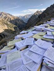 Mountain Of Paperwork