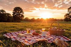 Picnic Sunset
