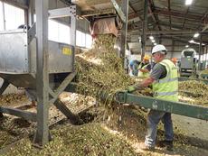 Picture Of Biomass Being Processed