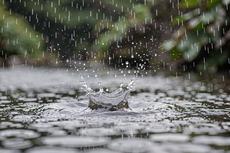 Raindrop Water Impact