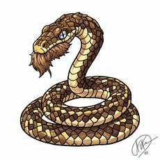 Snake With Beard