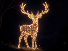 The Wonderful Glowing Deer