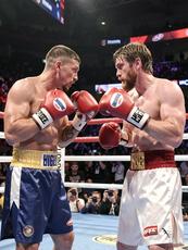 Two Boxers Facing Off