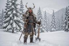 Viking In Snow