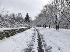 Winter Pathway